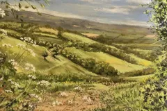 DG11-copy