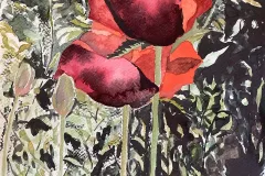 Isobel_10