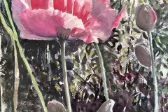 Isobel_12