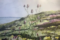 Isobel_5