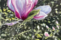 Isobel_7