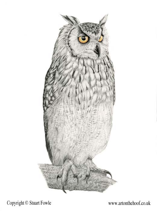 Eagle Owl (Commission) by Stuart Fowle