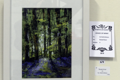 Bluebell Wood